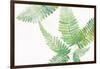 Ferns I Square-Chris Paschke-Framed Art Print