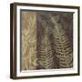 Ferns I-Erin Clark-Framed Giclee Print