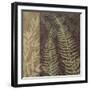 Ferns I-Erin Clark-Framed Giclee Print