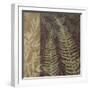 Ferns I-Erin Clark-Framed Giclee Print