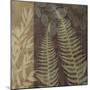 Ferns I-Erin Clark-Mounted Giclee Print