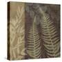 Ferns I-Erin Clark-Stretched Canvas