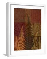 Ferns II-Erin Clark-Framed Giclee Print