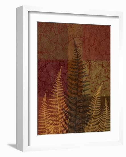 Ferns II-Erin Clark-Framed Giclee Print