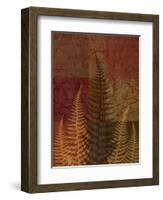 Ferns II-Erin Clark-Framed Giclee Print