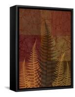 Ferns II-Erin Clark-Framed Stretched Canvas