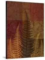 Ferns II-Erin Clark-Stretched Canvas