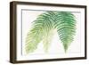 Ferns III Square-Chris Paschke-Framed Art Print