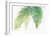 Ferns III Square-Chris Paschke-Framed Art Print