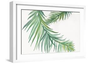 Ferns IV Square-Chris Paschke-Framed Art Print