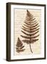 Ferns & Ledgers I-Naomi McCavitt-Framed Art Print