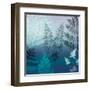 Ferns Navy-Lula Bijoux-Framed Art Print