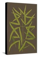 Ferns on Linen I-Vision Studio-Stretched Canvas