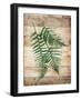 Ferns On Wood Mate-Jace Grey-Framed Art Print
