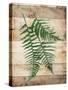 Ferns On Wood Mate-Jace Grey-Stretched Canvas