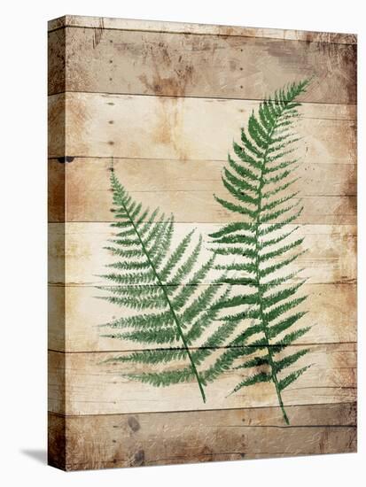 Ferns On Wood-Jace Grey-Stretched Canvas