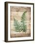 Ferns On Wood-Jace Grey-Framed Art Print