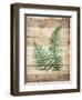 Ferns On Wood-Jace Grey-Framed Art Print