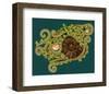 Ferns Spirals Shells I-null-Framed Art Print