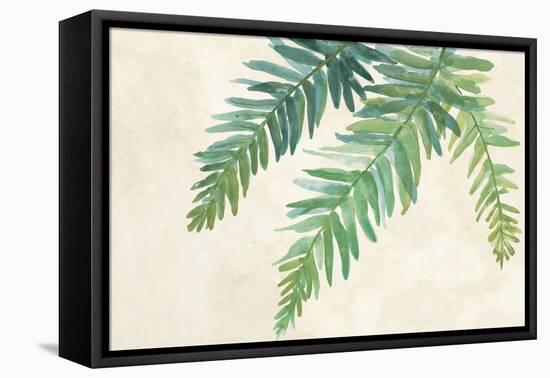 Ferns Square I on Cream-Chris Paschke-Framed Stretched Canvas