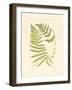 Ferns with Platemark V-null-Framed Art Print