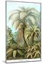 Ferns-Ernst Haeckel-Mounted Art Print