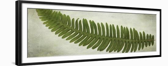 Ferns-Viviane Fedieu Daniel-Framed Giclee Print