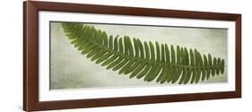 Ferns-Viviane Fedieu Daniel-Framed Giclee Print