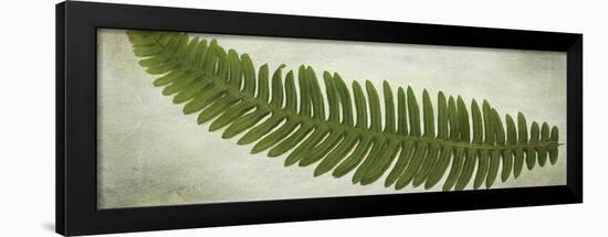 Ferns-Viviane Fedieu Daniel-Framed Giclee Print