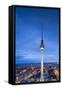 Fernsehturm, Alexanderplatz, Berlin, Germany-Jon Arnold-Framed Stretched Canvas