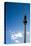 Fernsehturm (Television Tower), Berlin, Germany-Felipe Rodriguez-Stretched Canvas