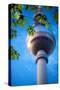 Fernsehturm (Television Tower), Berlin, Germany-Felipe Rodriguez-Stretched Canvas