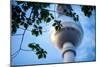 Fernsehturm (Television Tower), Berlin, Germany-Felipe Rodriguez-Mounted Photographic Print