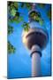 Fernsehturm (Television Tower), Berlin, Germany-Felipe Rodriguez-Mounted Photographic Print