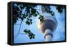 Fernsehturm (Television Tower), Berlin, Germany-Felipe Rodriguez-Framed Stretched Canvas