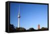 Fernsehturm (Television Tower), Berlin, Germany-Felipe Rodriguez-Framed Stretched Canvas