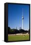 Fernsehturm (Television Tower), Berlin, Germany-Felipe Rodriguez-Framed Stretched Canvas