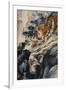 Ferocious Tiger Stalking a Mountain Path-Zhang Shanzi-Framed Giclee Print