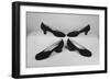 Ferragamo Shoes-David Lees-Framed Photographic Print