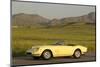 Ferrari Nart Spyder 1967-Simon Clay-Mounted Premium Photographic Print