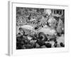 Ferrari of Giannino Marzotto, Mille Miglia, Italy, 1953-null-Framed Photographic Print