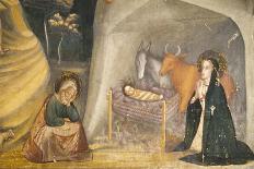 Nativity-Ferrer Bassa-Mounted Art Print