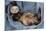 Ferret Sable Colouring Lying on Back-null-Mounted Photographic Print