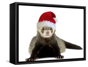 Ferret Wearing Christmas Hat-null-Framed Stretched Canvas