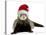 Ferret Wearing Christmas Hat-null-Stretched Canvas