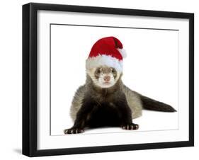 Ferret Wearing Christmas Hat-null-Framed Photographic Print