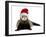 Ferret Wearing Christmas Hat-null-Framed Photographic Print