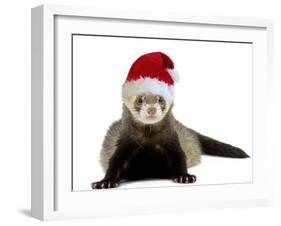 Ferret Wearing Christmas Hat-null-Framed Photographic Print