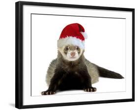 Ferret Wearing Christmas Hat-null-Framed Photographic Print