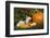 Ferret-Lynn M^ Stone-Framed Photographic Print